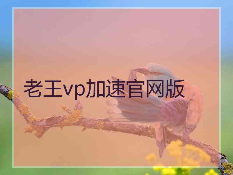 老王vp加速官网版