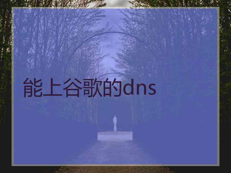 能上谷歌的dns