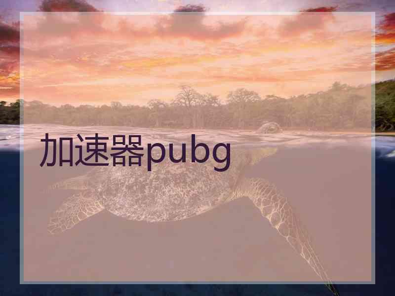 加速器pubg