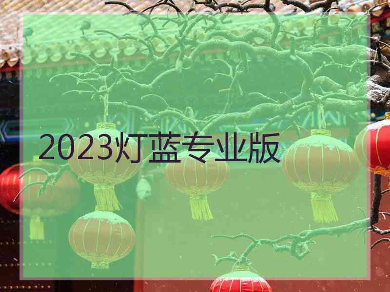 2023灯蓝专业版