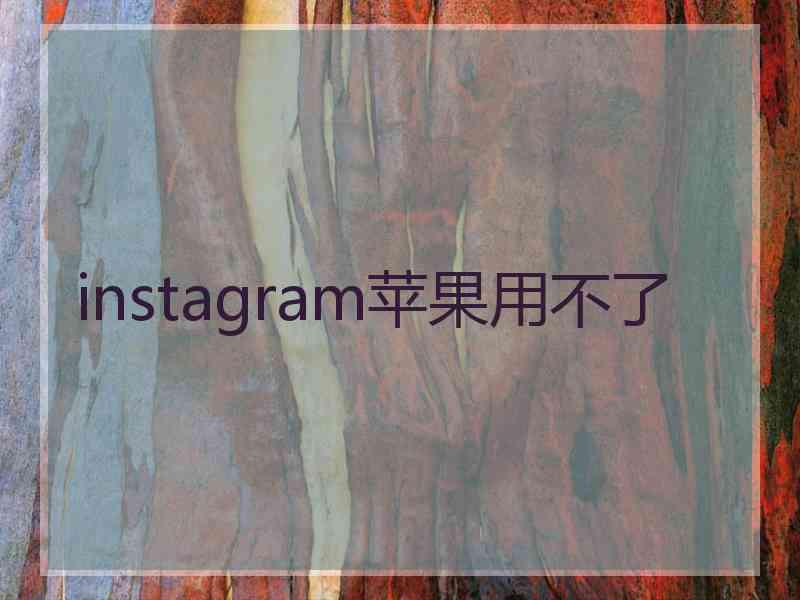 instagram苹果用不了