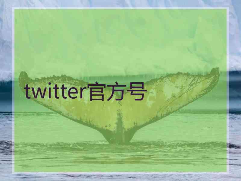 twitter官方号