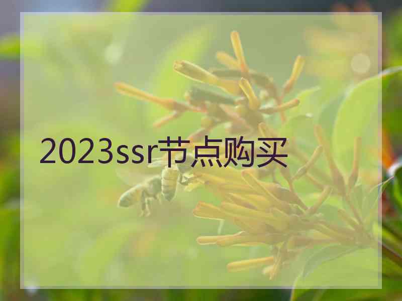 2023ssr节点购买