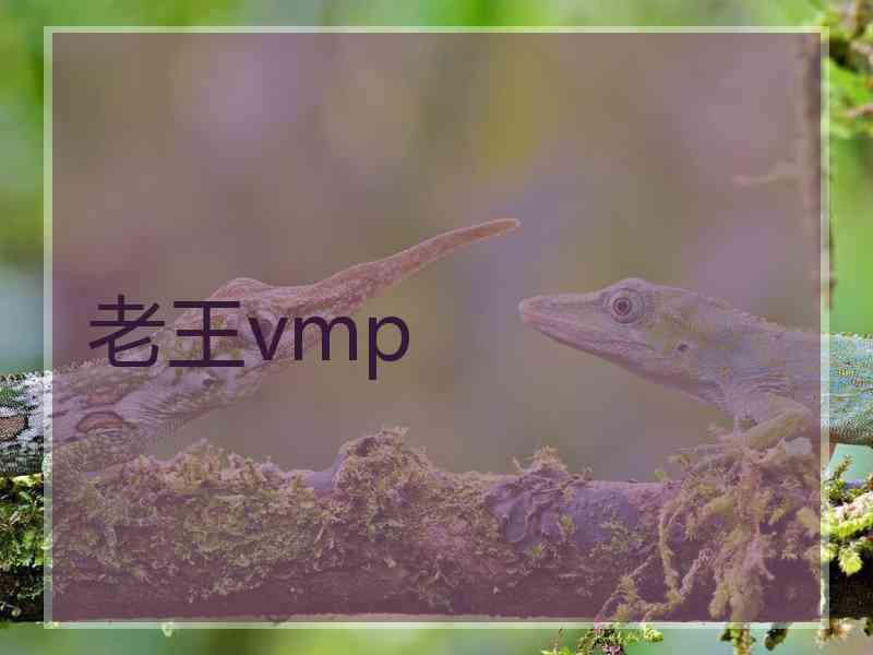 老王vmp