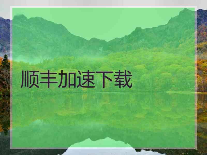 顺丰加速下载