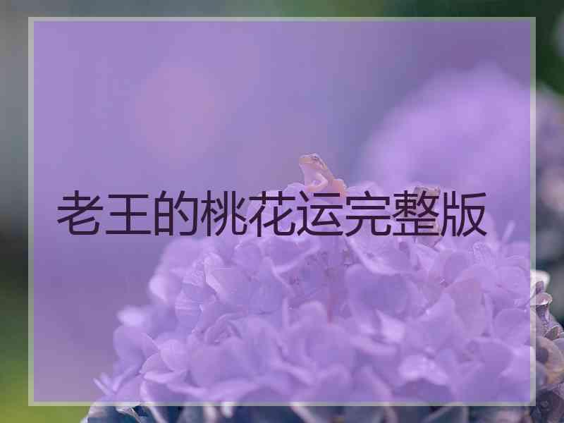 老王的桃花运完整版