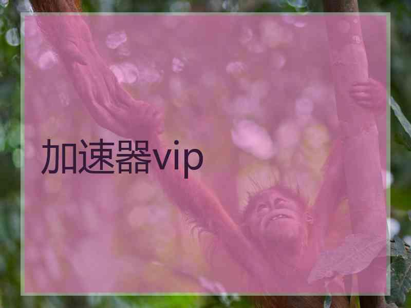 加速器vip