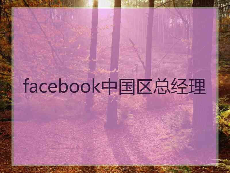 facebook中国区总经理