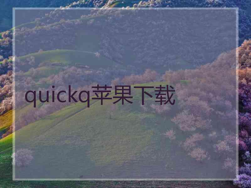 quickq苹果下载