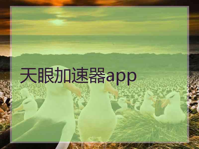 天眼加速器app