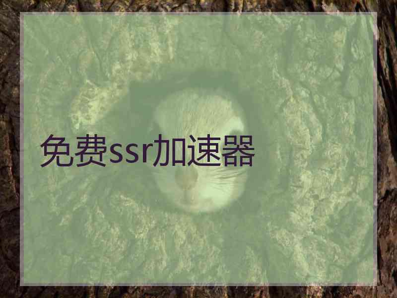 免费ssr加速器