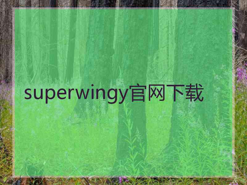 superwingy官网下载