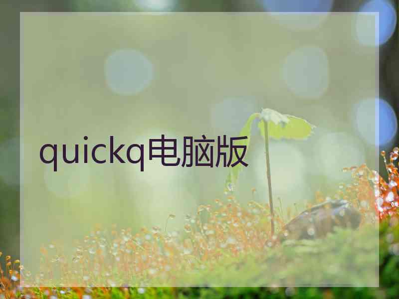 quickq电脑版