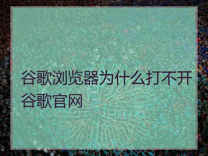 谷歌浏览器为什么打不开谷歌官网