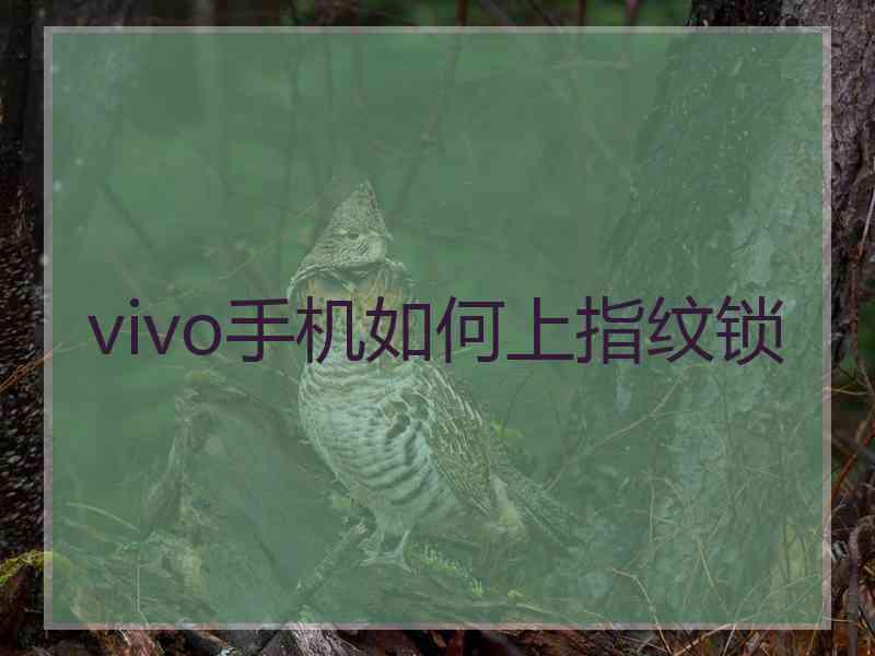 vivo手机如何上指纹锁