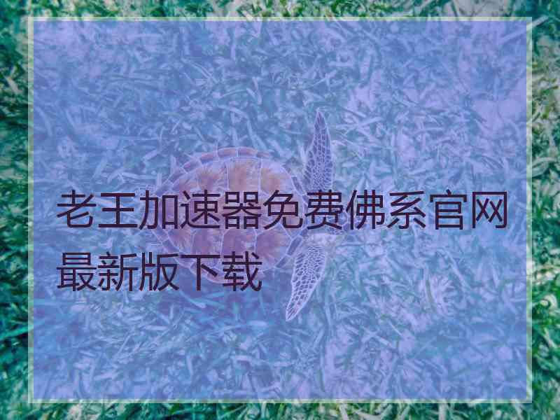 老王加速器免费佛系官网最新版下载