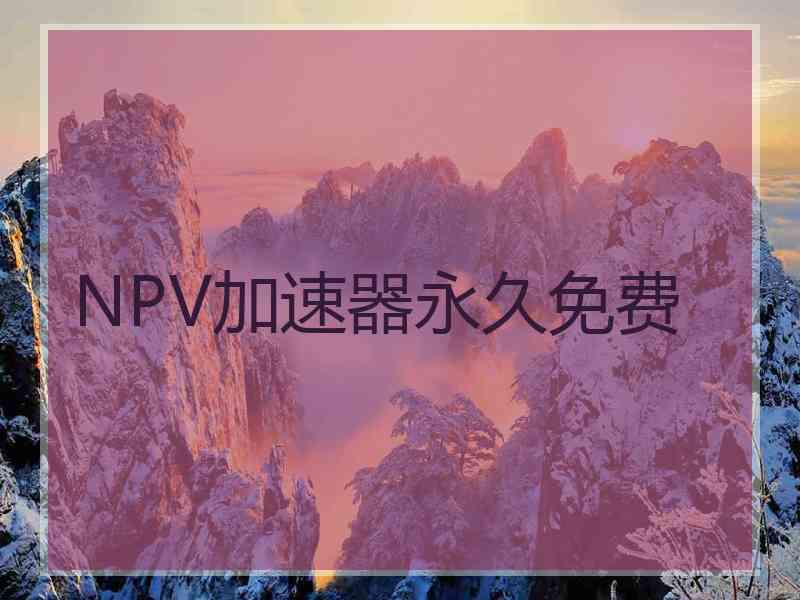 NPV加速器永久免费