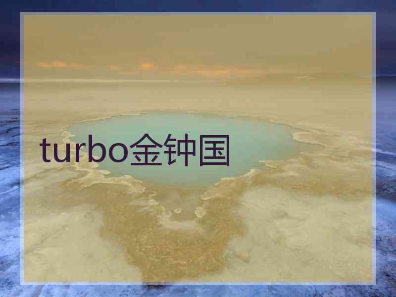 turbo金钟国