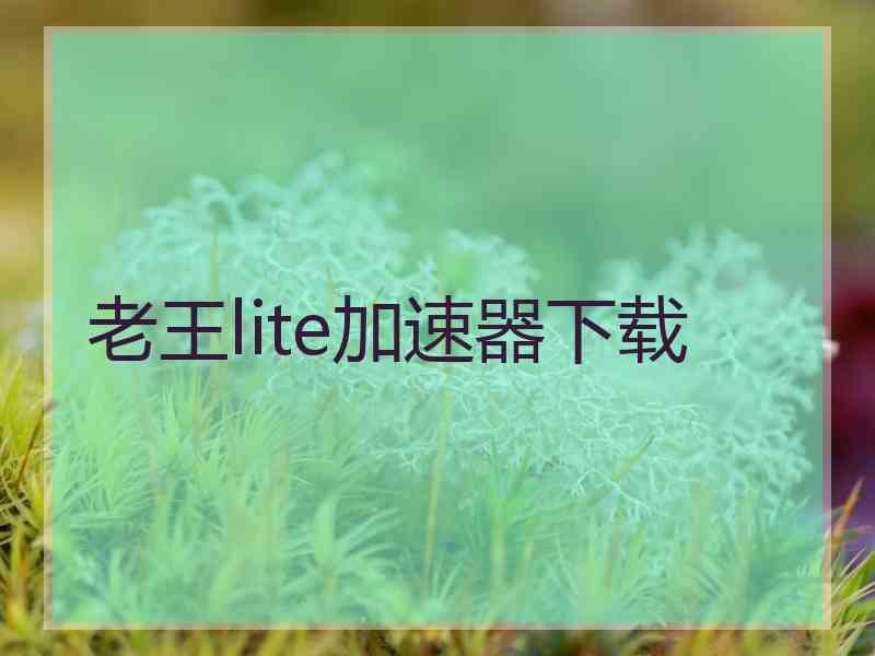 老王lite加速器下载