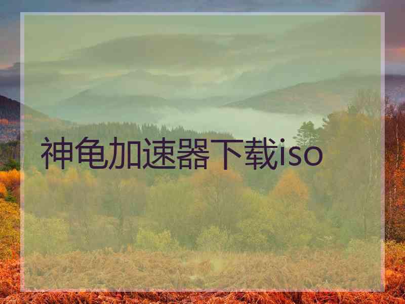 神龟加速器下载iso