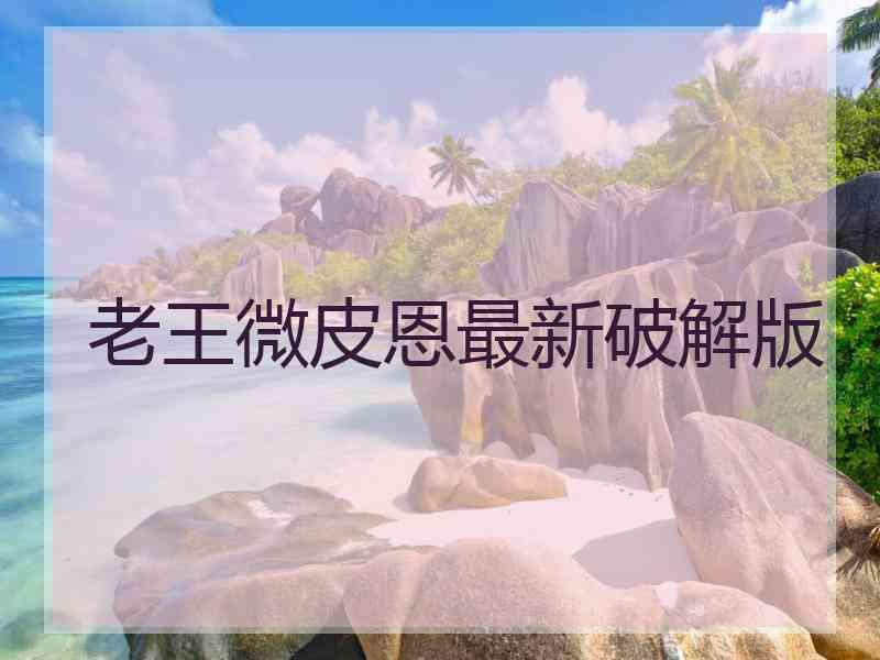 老王微皮恩最新破解版