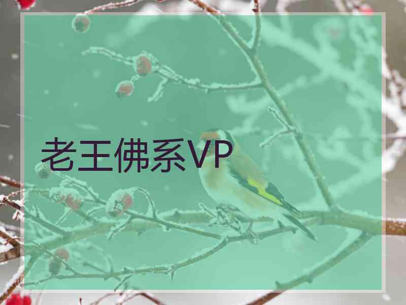 老王佛系VP