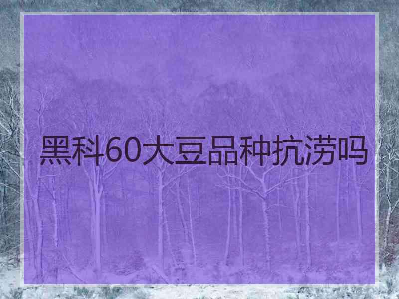 黑科60大豆品种抗涝吗