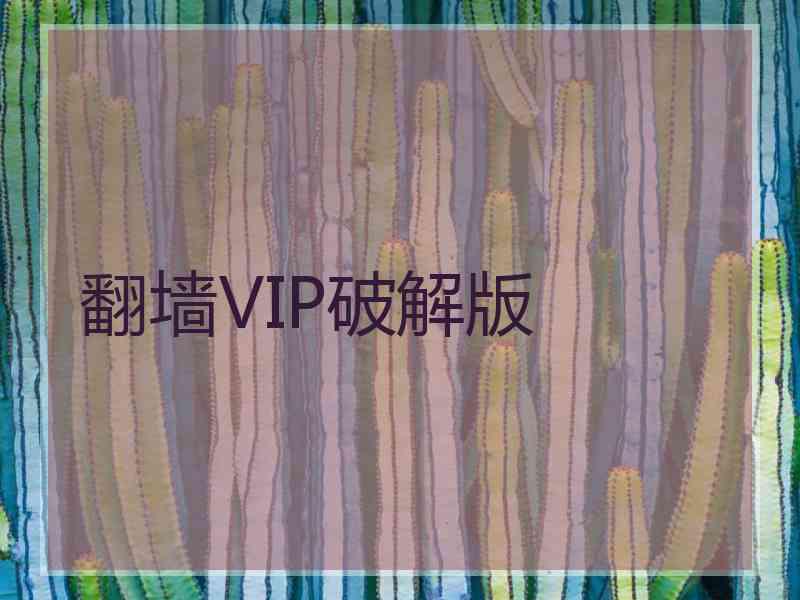 翻墙VIP破解版