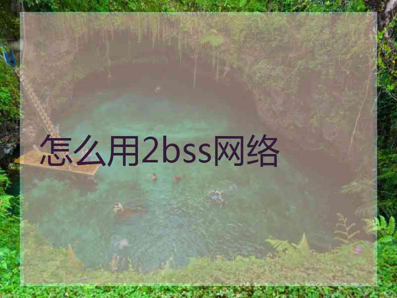 怎么用2bss网络