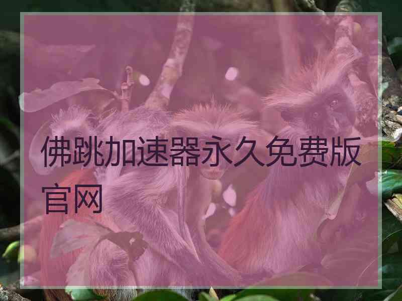 佛跳加速器永久免费版官网