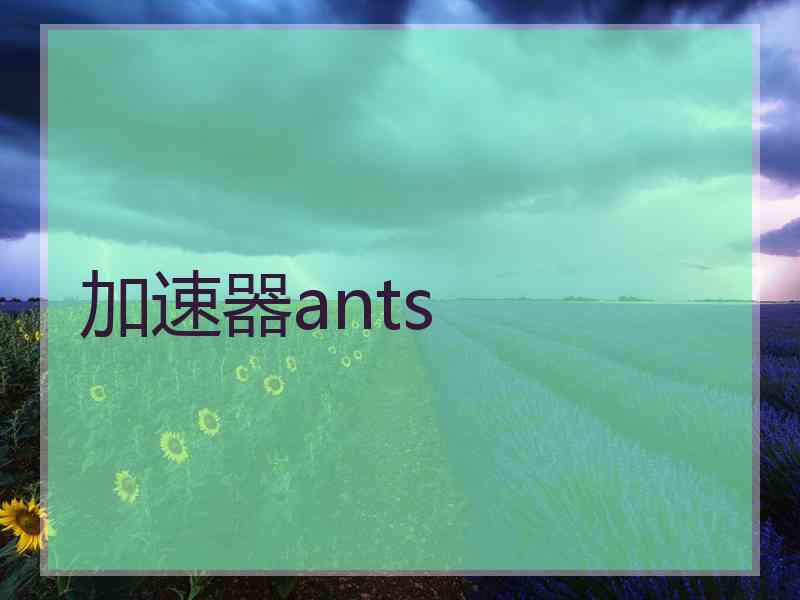 加速器ants