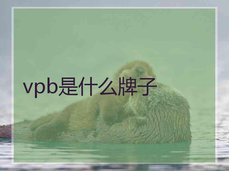 vpb是什么牌子