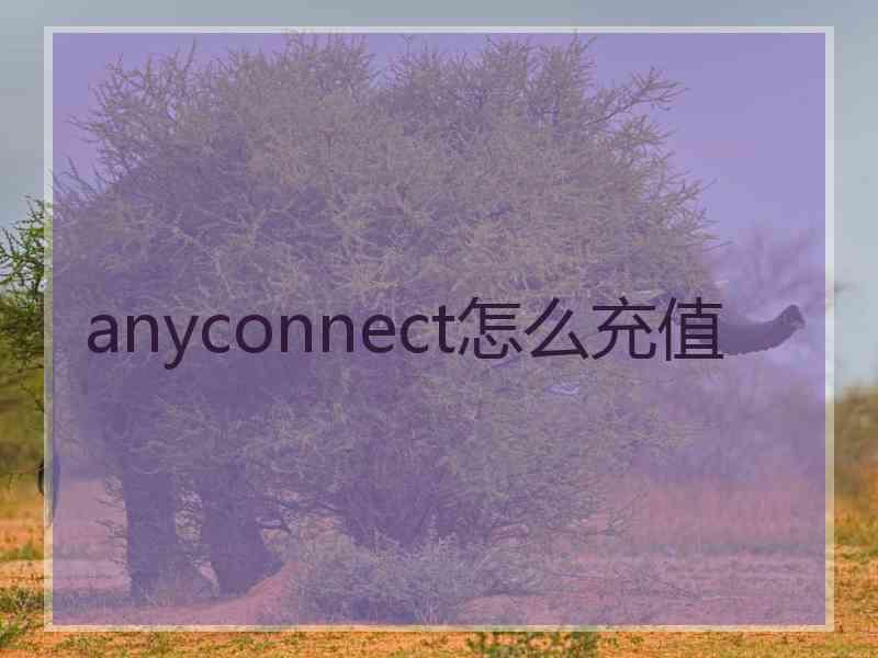 anyconnect怎么充值