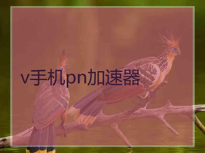 v手机pn加速器