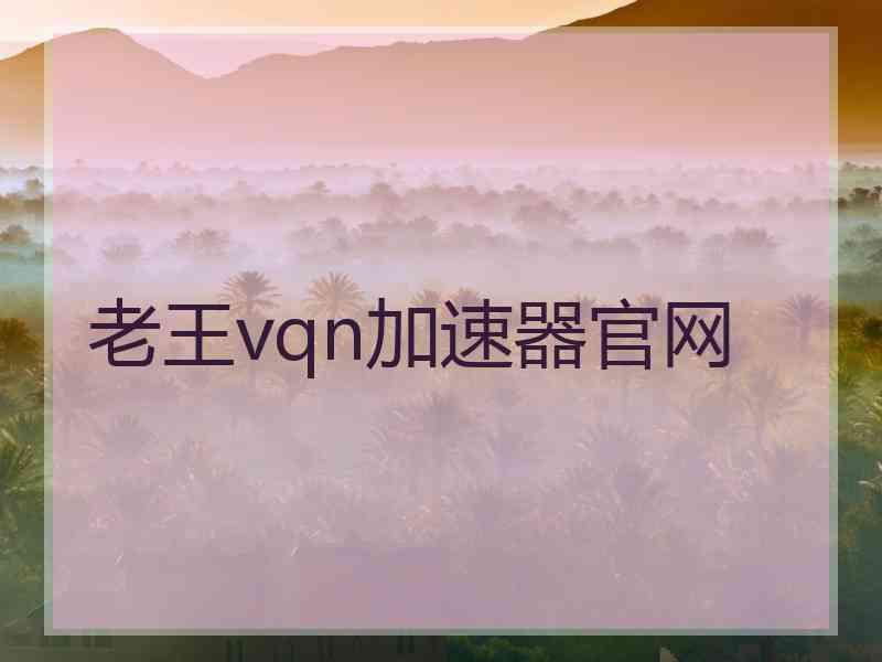 老王vqn加速器官网