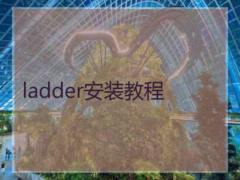 ladder安装教程