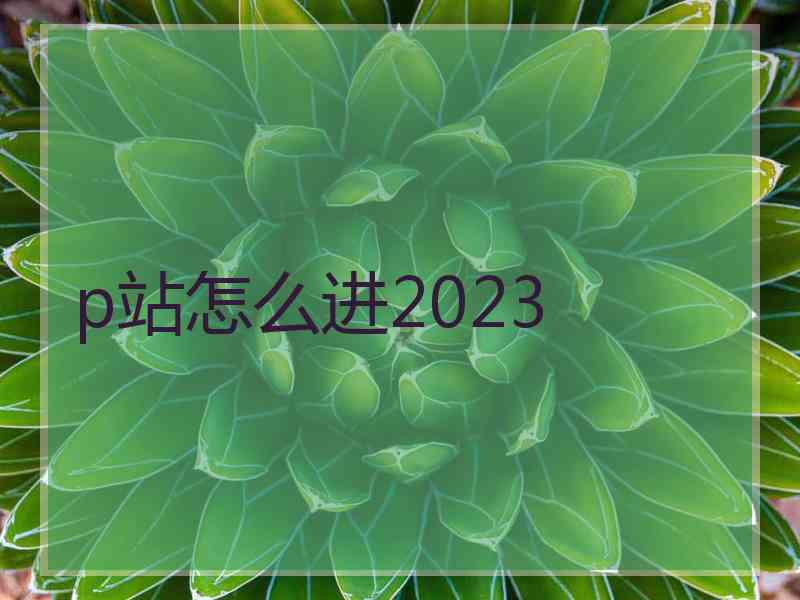 p站怎么进2023