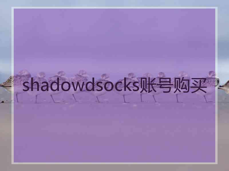 shadowdsocks账号购买