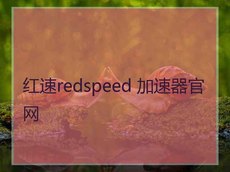 红速redspeed 加速器官网