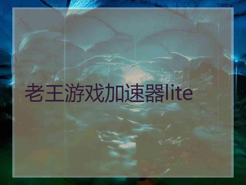 老王游戏加速器lite