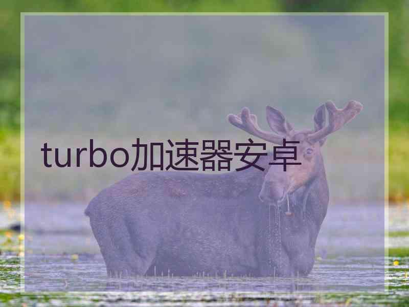 turbo加速器安卓