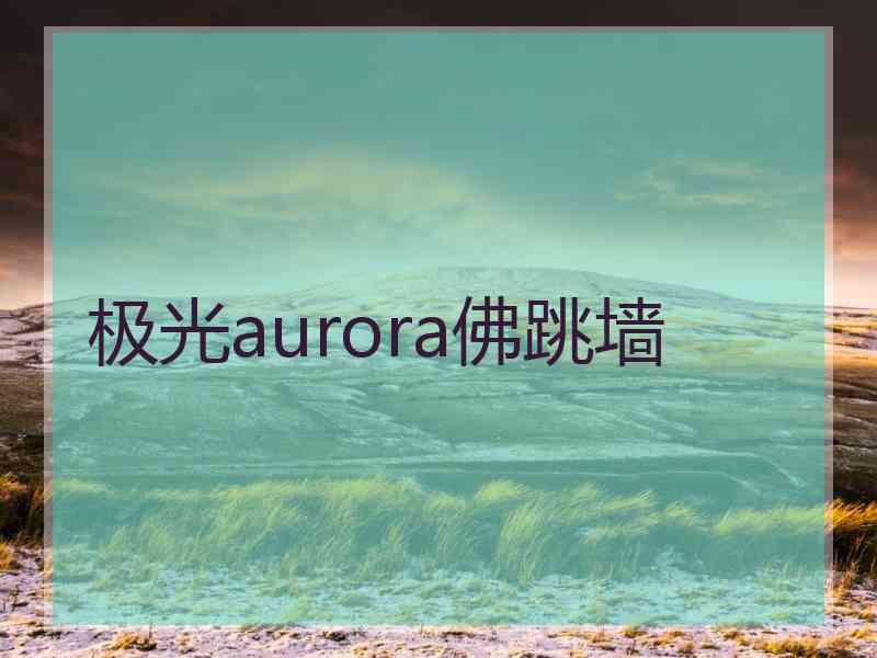 极光aurora佛跳墙