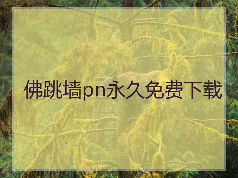 佛跳墙pn永久免费下载