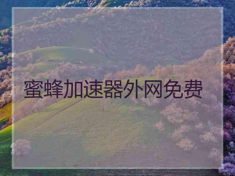 蜜蜂加速器外网免费