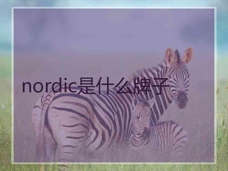 nordic是什么牌子