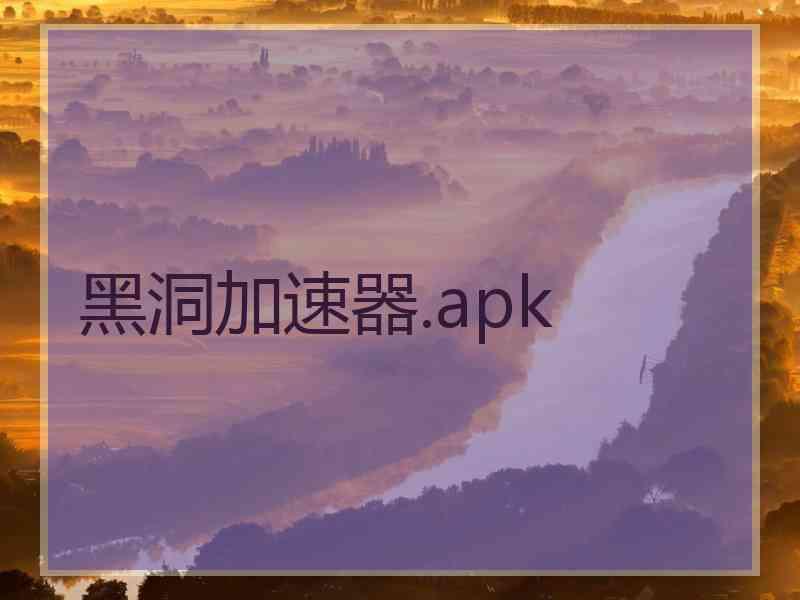 黑洞加速器.apk