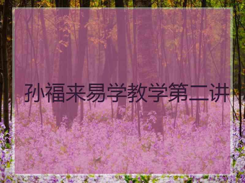 孙福来易学教学第二讲