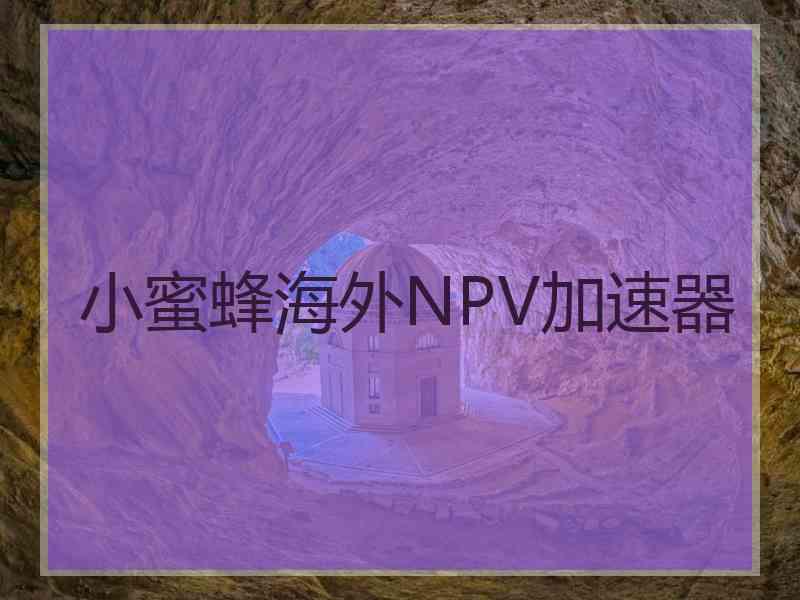 小蜜蜂海外NPV加速器