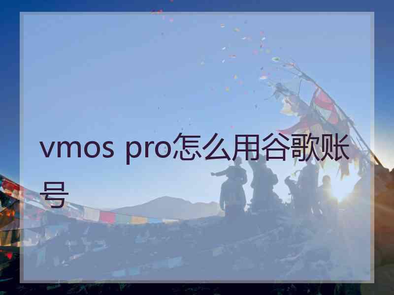 vmos pro怎么用谷歌账号