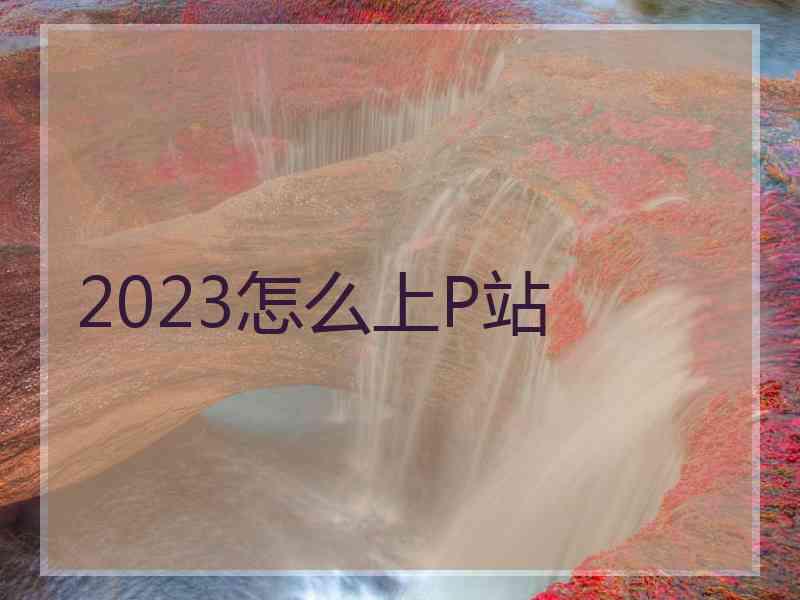 2023怎么上P站